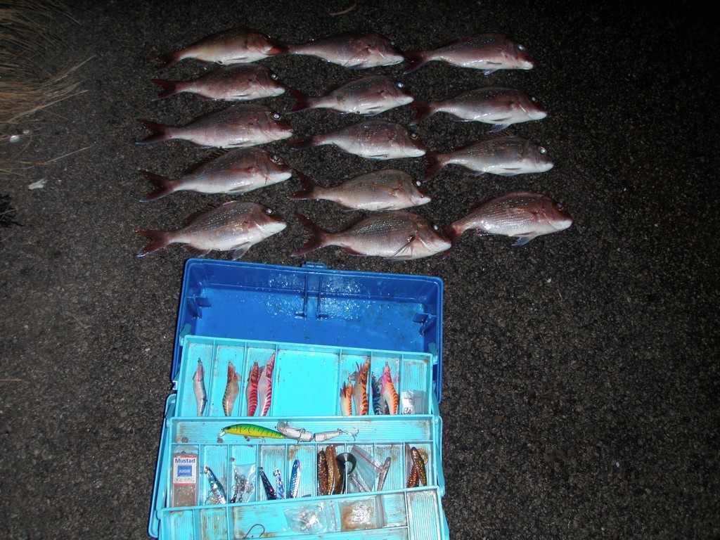 Illegal snapper hidden in boats &copy; Fisheries Victoria http://www.dpi.vic.gov.au